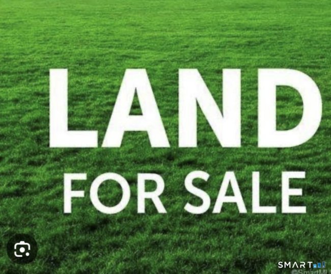 981 North Main Street