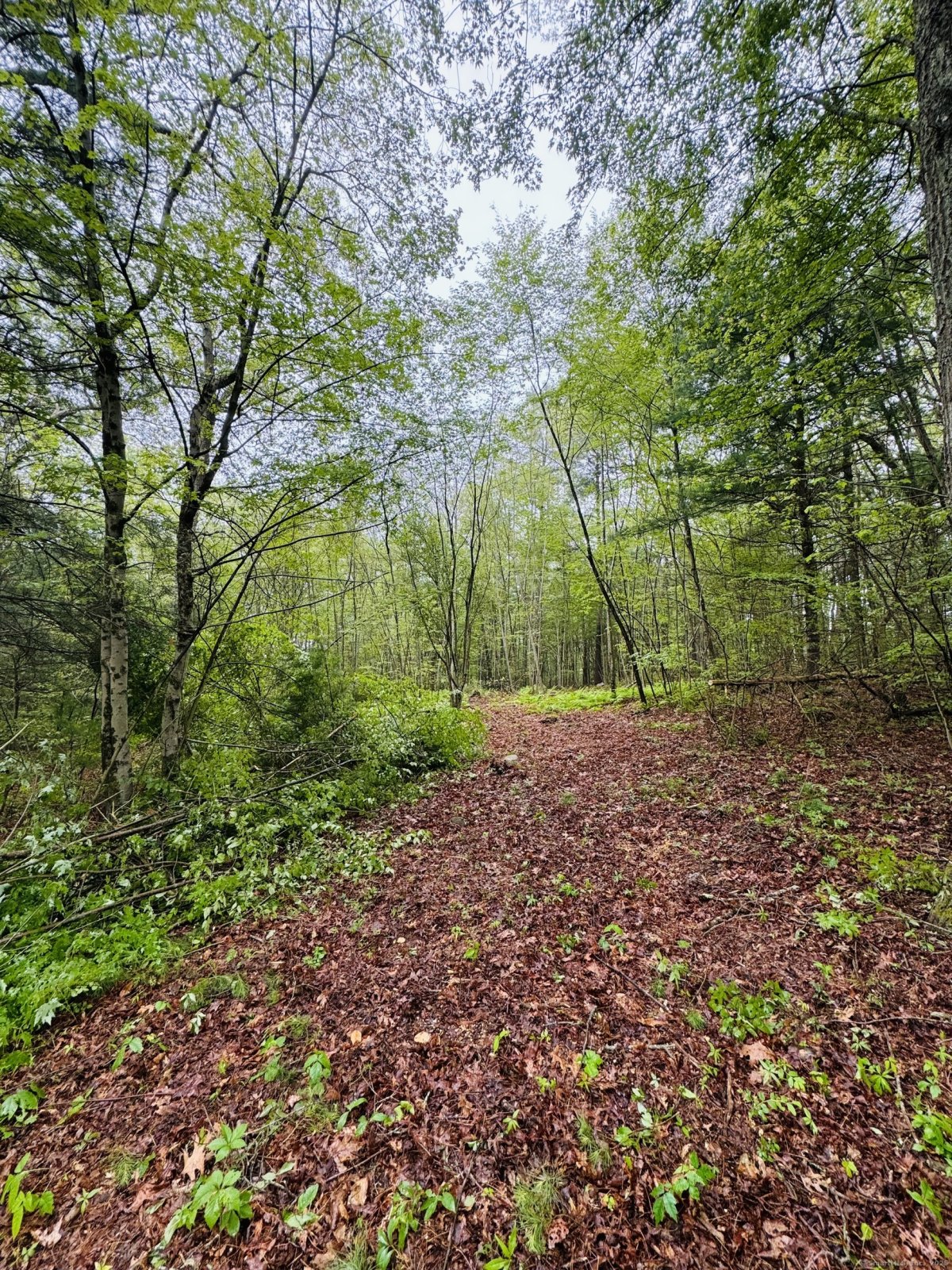 18 Ledge Hill Road, Sterling, CT