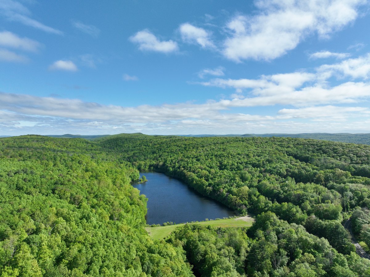 201 Diamond Ledge Road, Stafford, CT