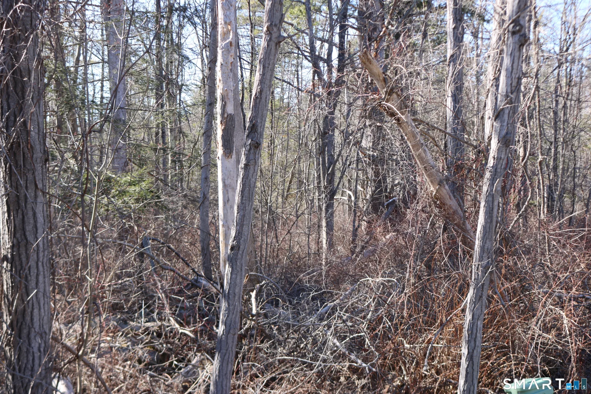 Ashley Drive, Goshen, CT