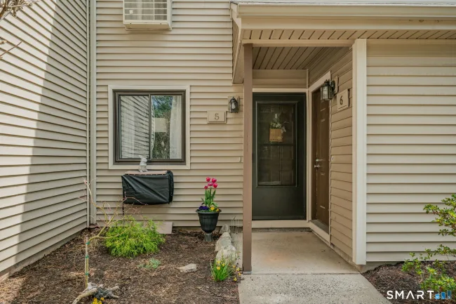 371 Emmett Street #5