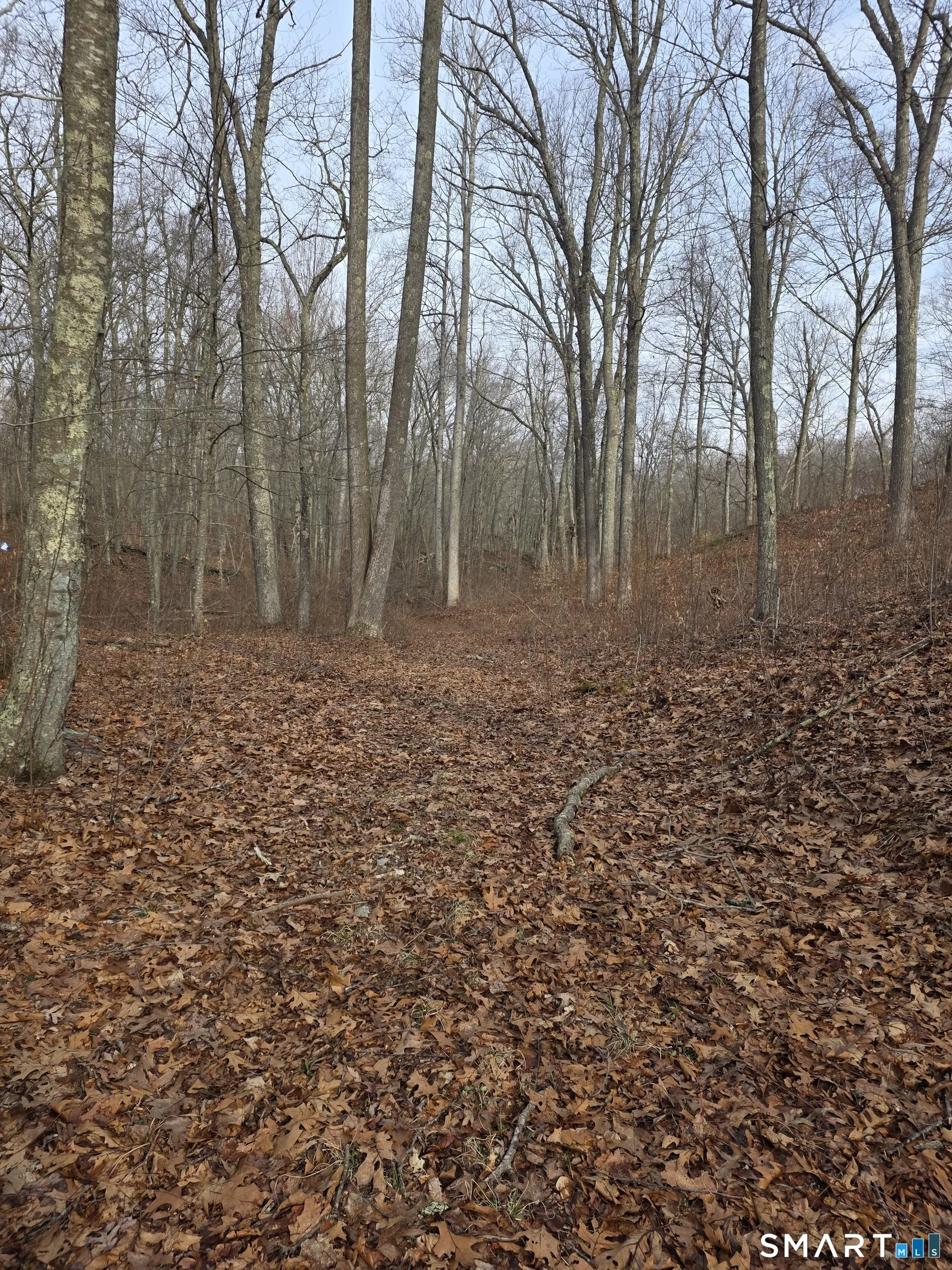 Brainard Road, Westbrook, CT