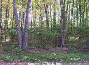 254 Stoddard Road, Morris, CT