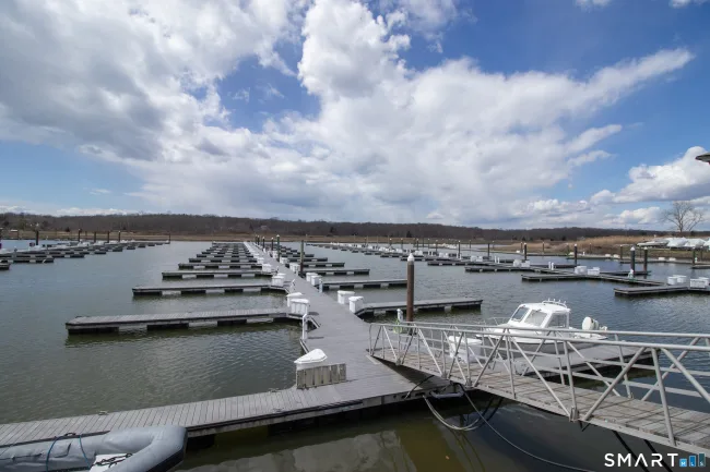 379 Whitfield Street #BN1034