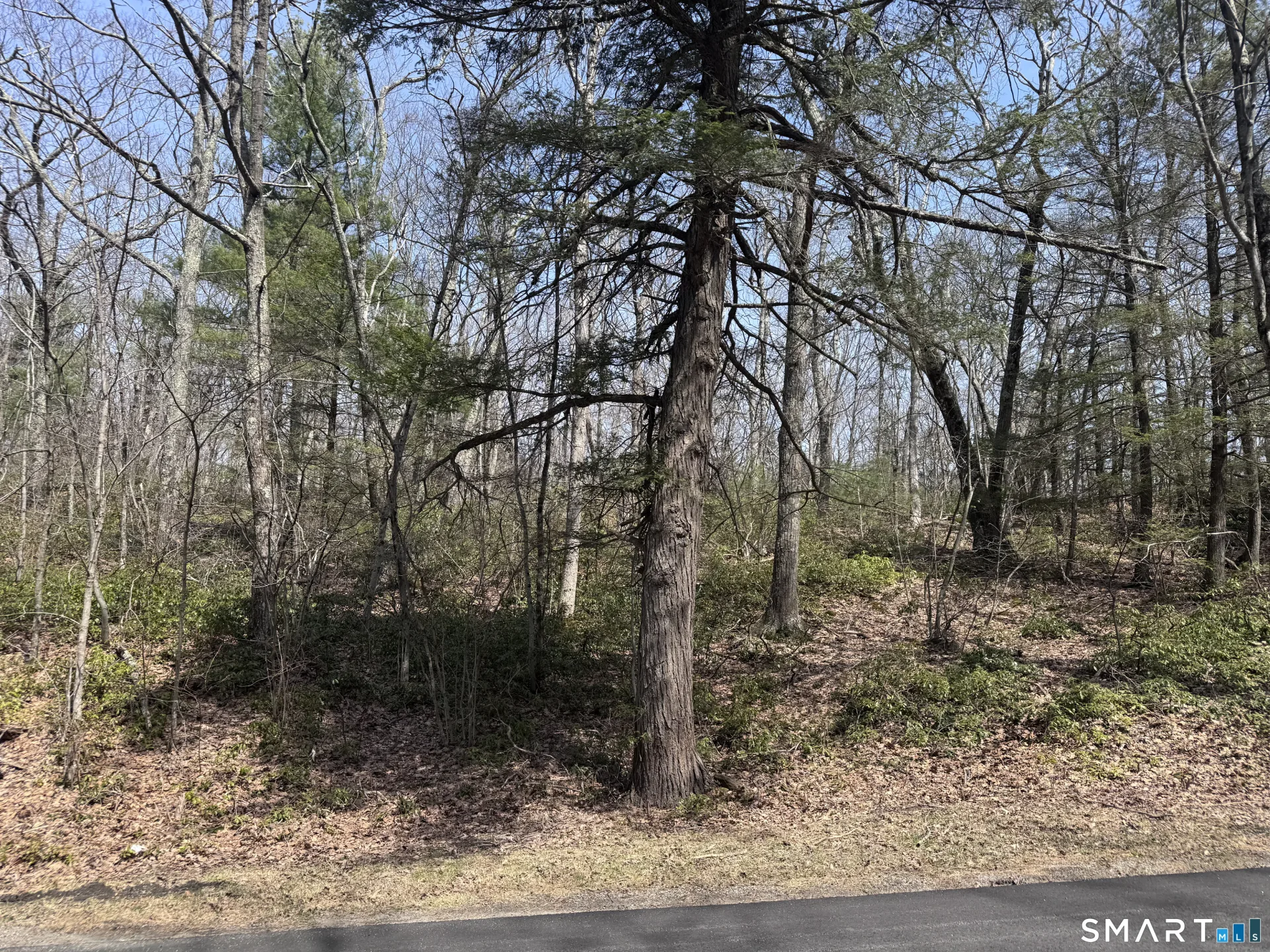 Windy Ridge Road, Warren, CT