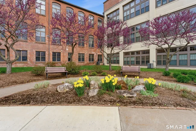 33 Mechanic Street #210