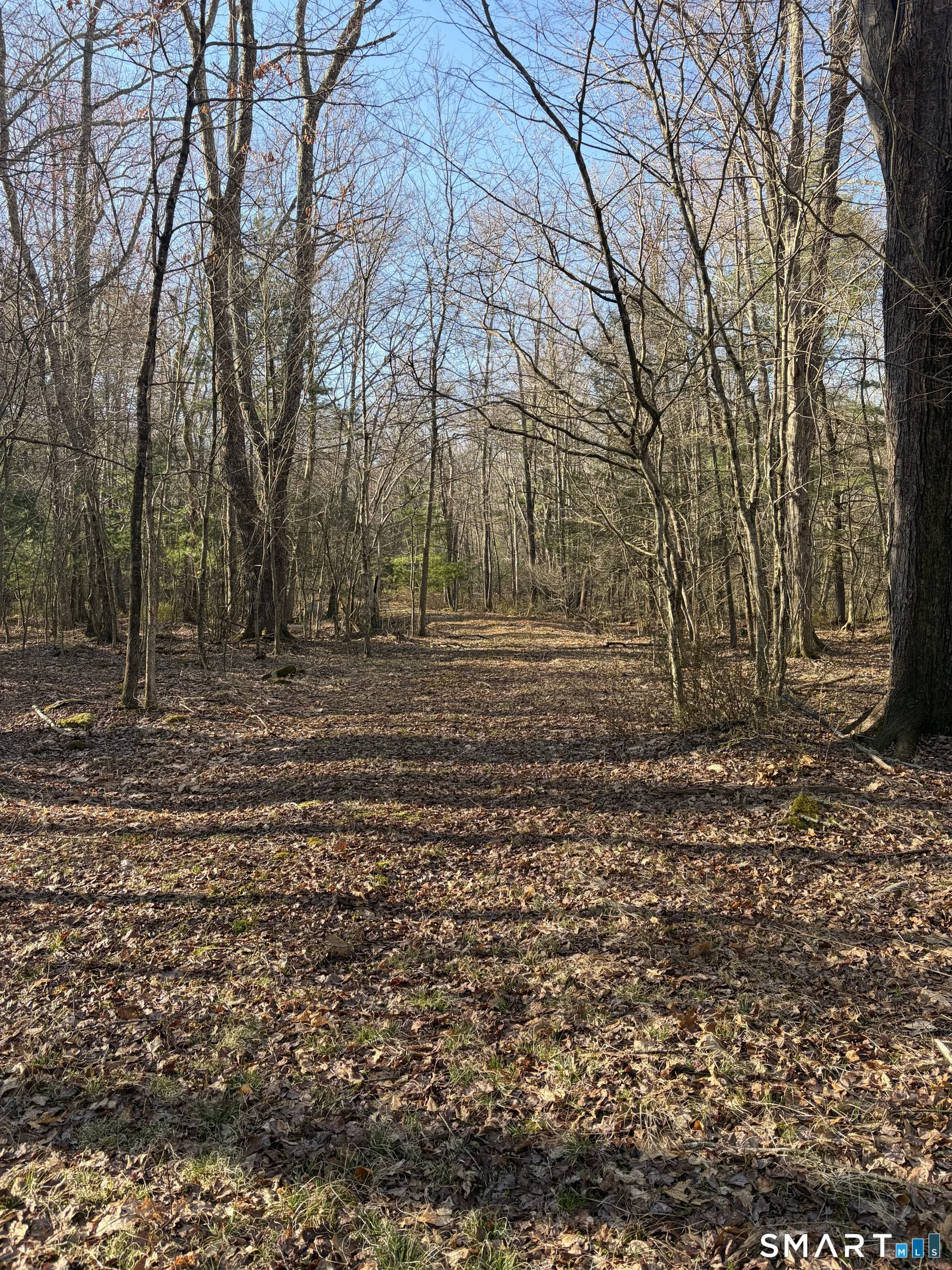 Willington Hill Road, Willington, CT