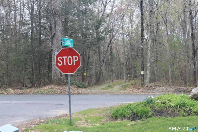 Nepaug Road, Burlington, CT