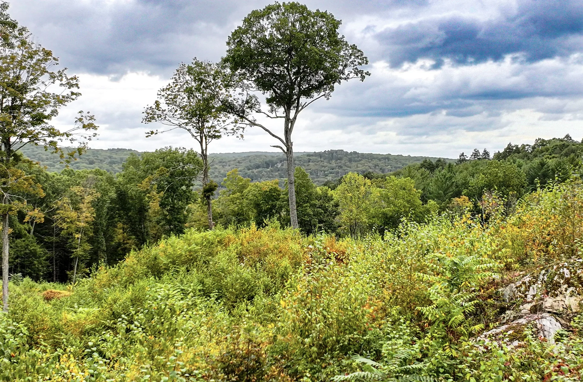 101 Lower Church Hill Road, Washington, CT