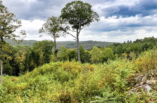 101 Lower Church Hill Road