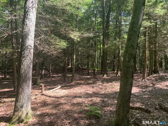 Lot 1 West Chalybes Road, Roxbury, CT