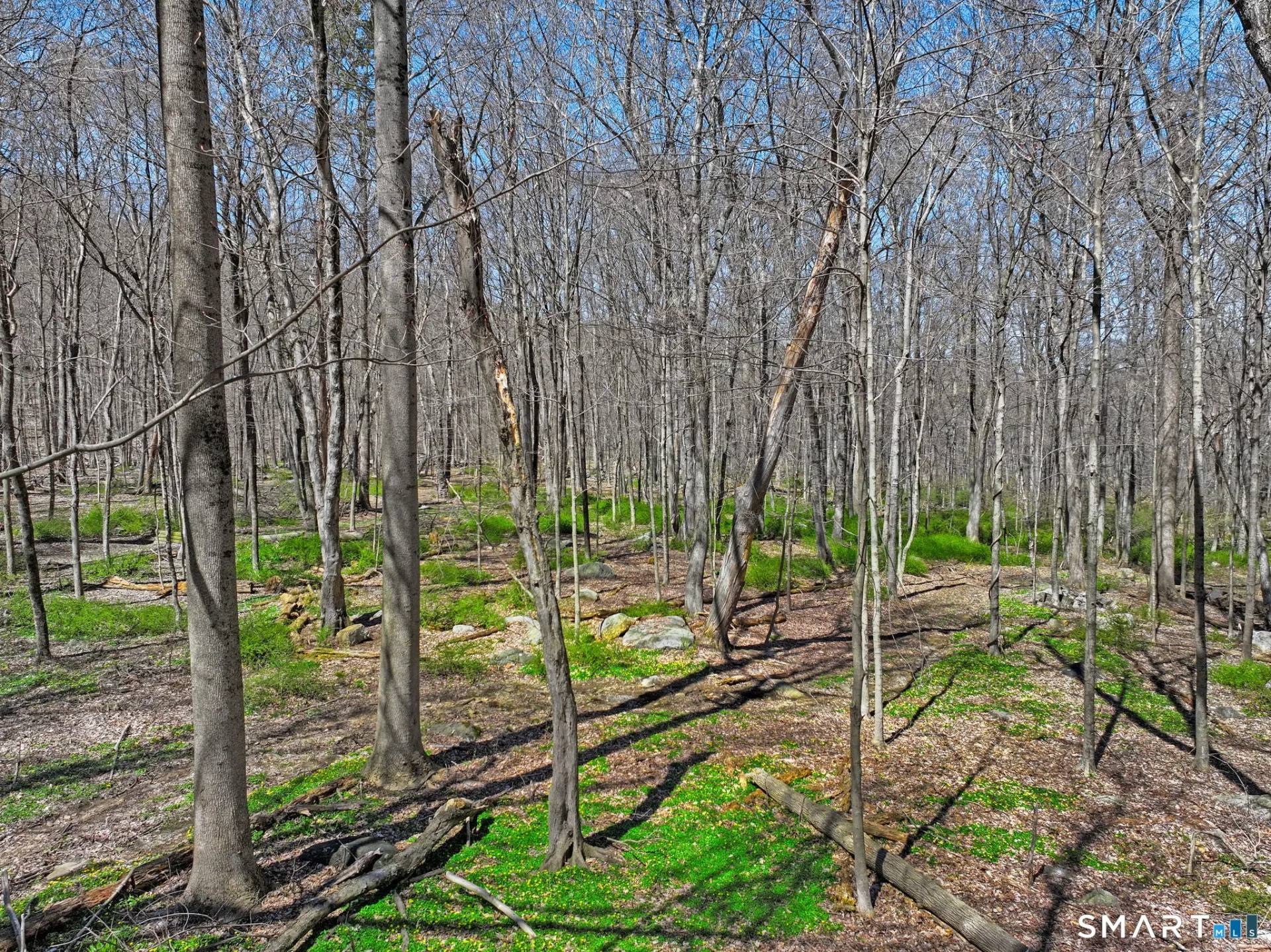 June Road, Stamford, CT