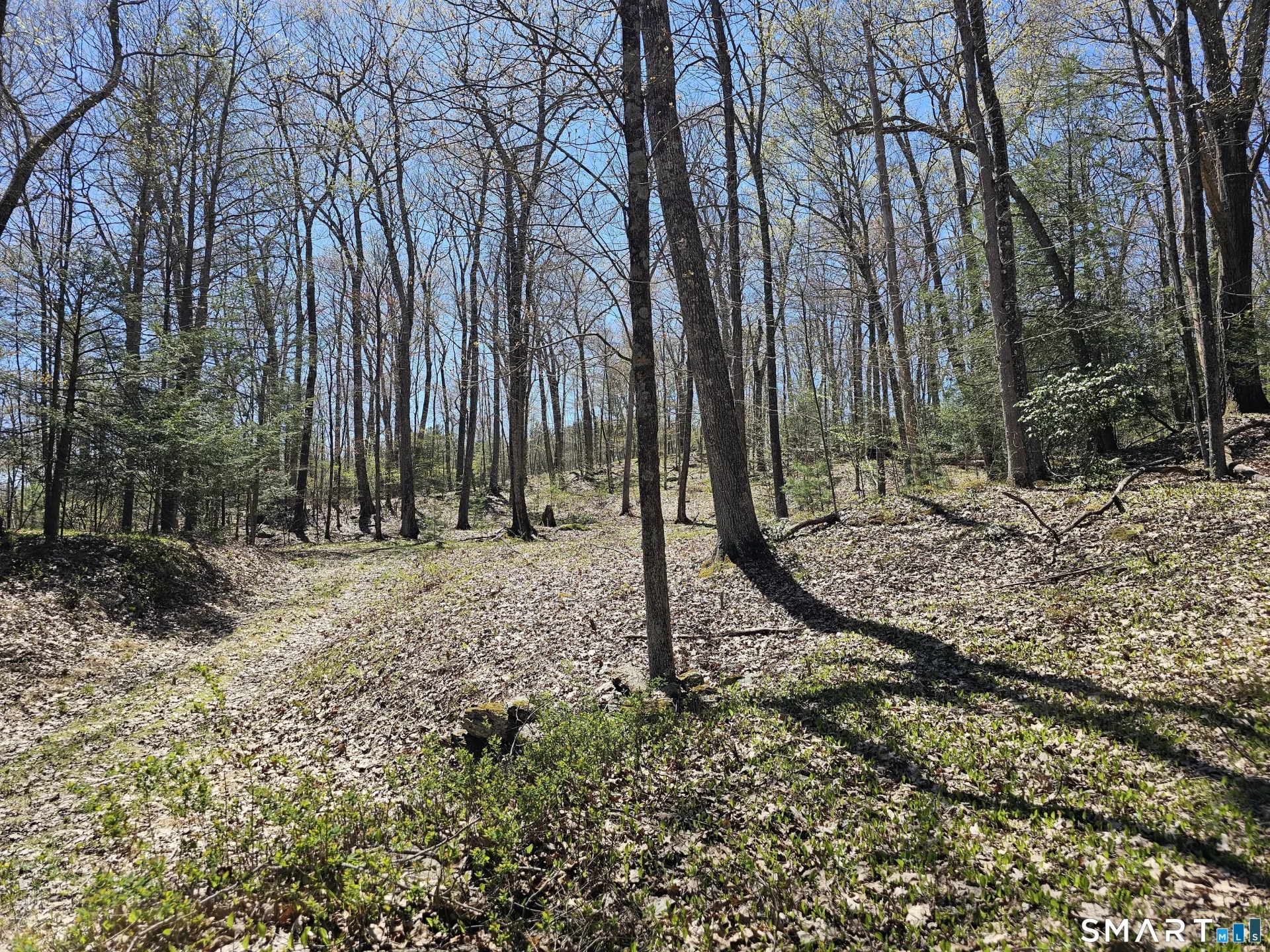 307 North Street, Roxbury, CT