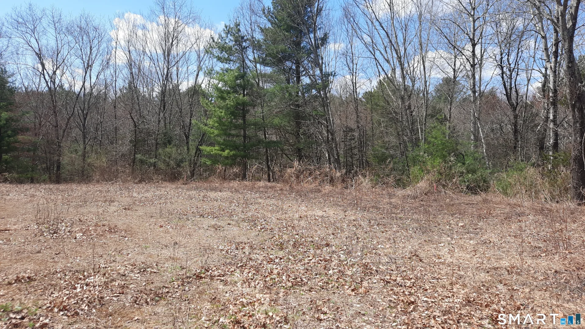 Lot 03-2 New Sweden Road, Woodstock, CT