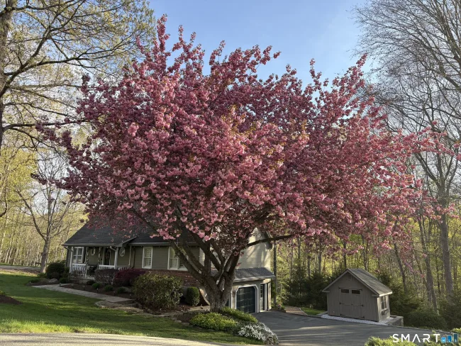 9 Brooks Lane, Essex, CT