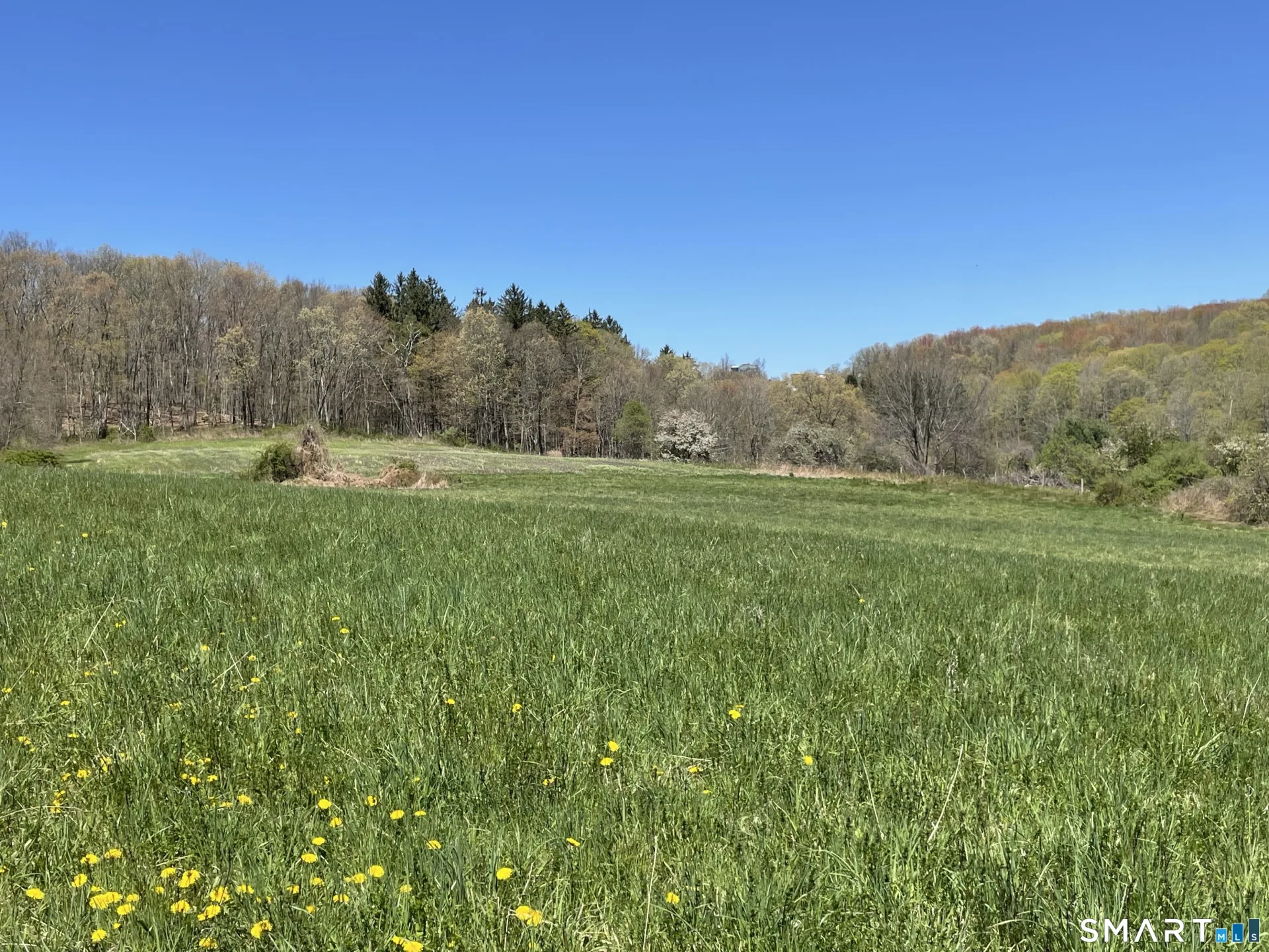 55 Ranney Hill Road, Roxbury, CT