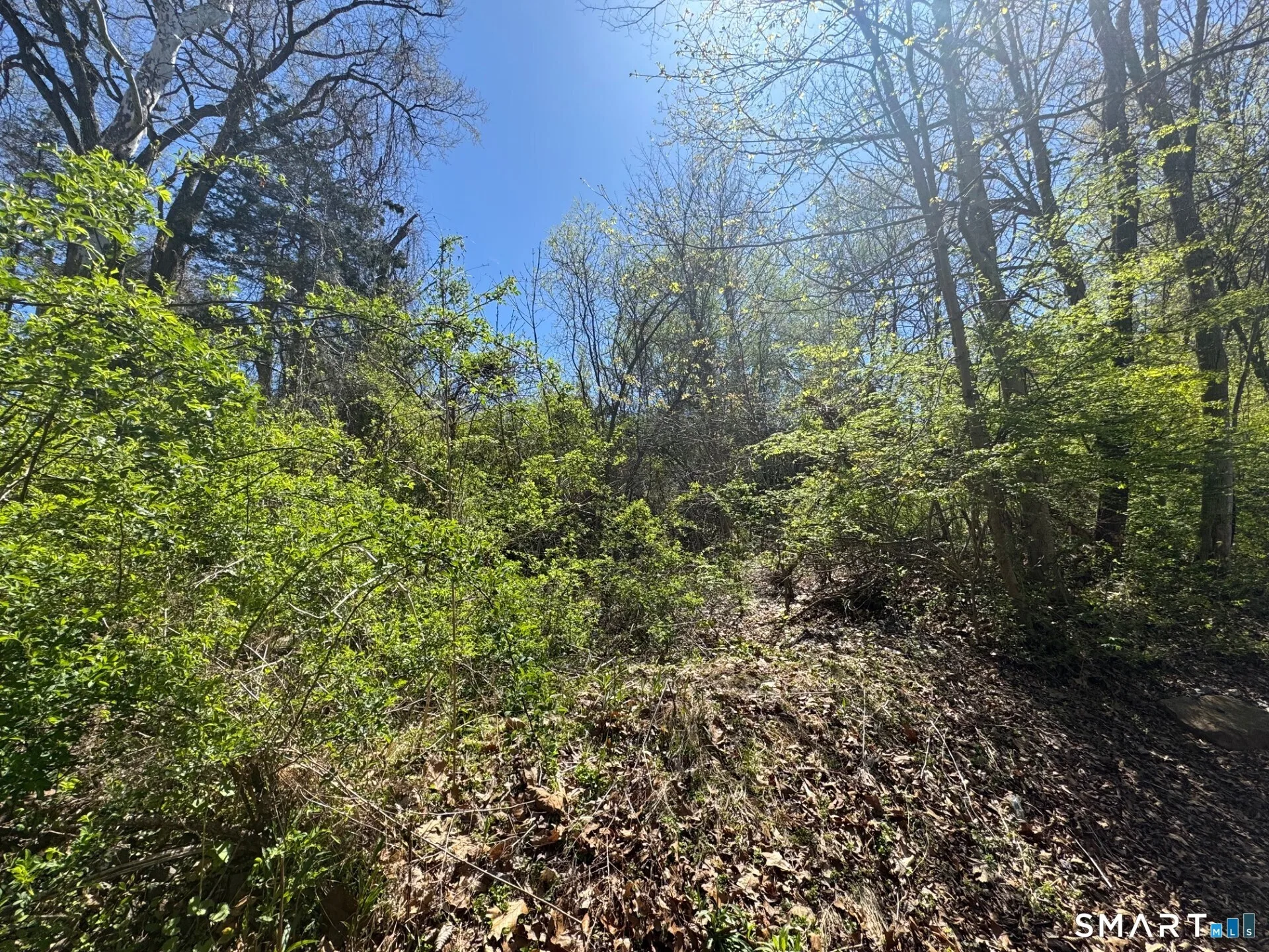 96 Northford Road, Wallingford, CT