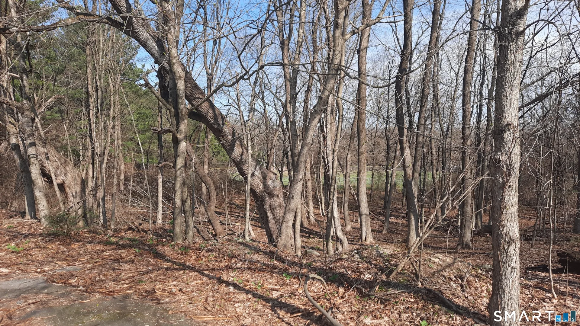 Wauregan Road, Brooklyn, CT