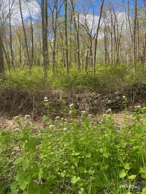 Clark Hill Road