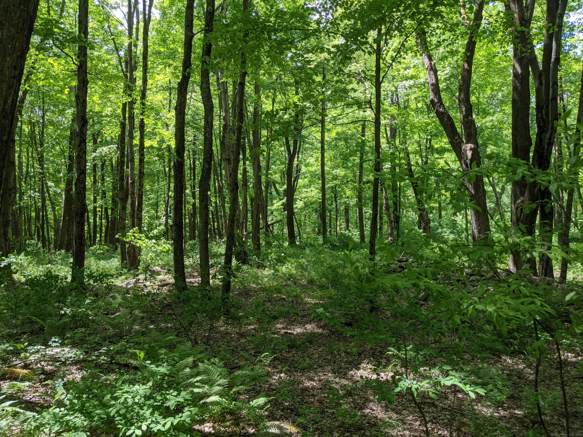 17 Old Homestead Lane, Kent, CT