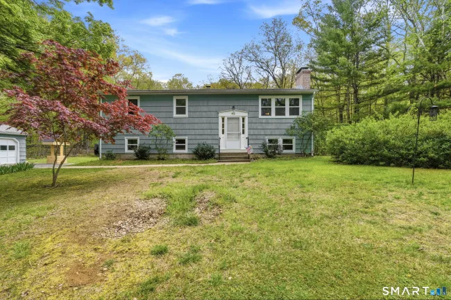 42 Fern Road