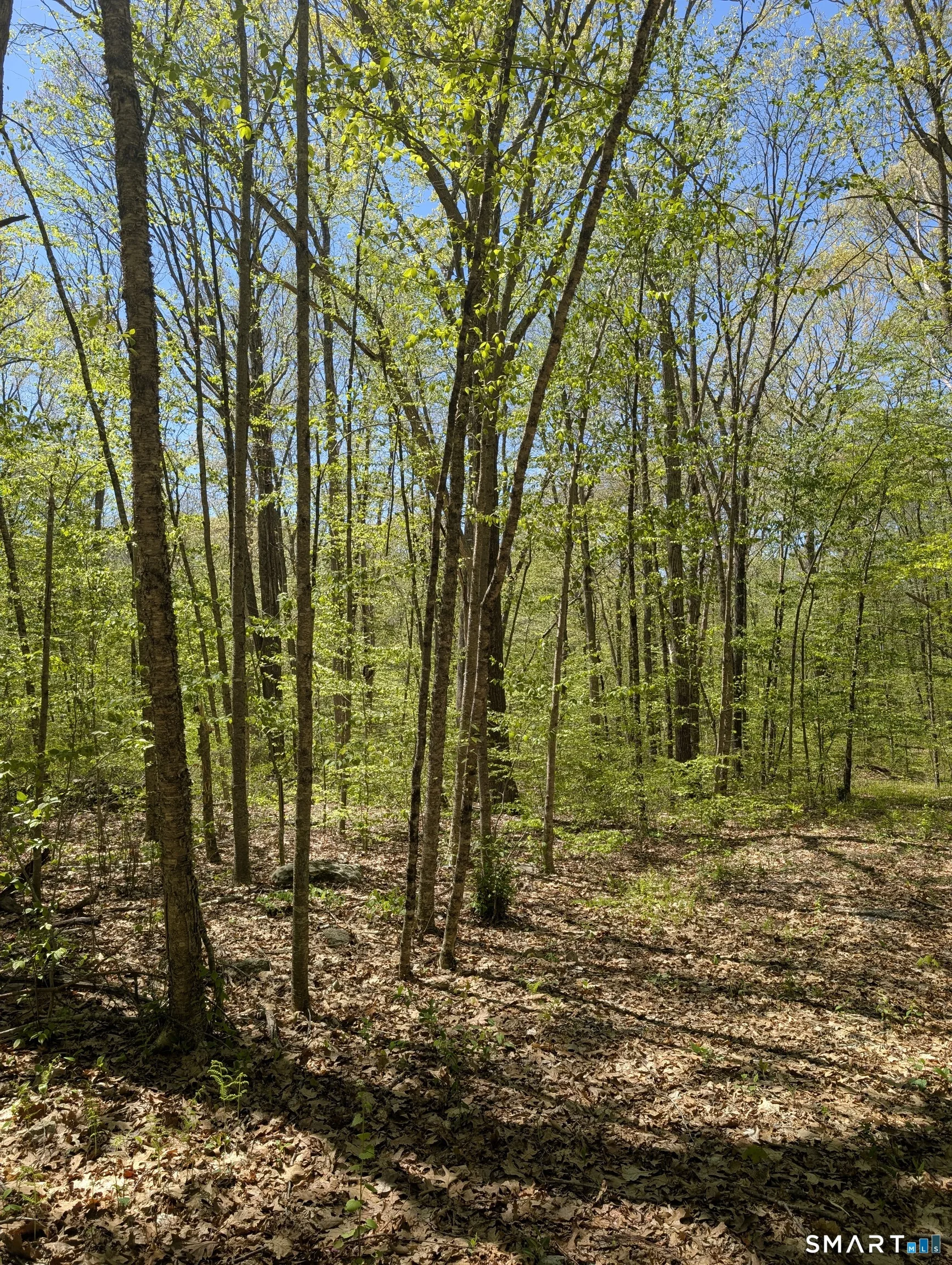 Englewood Trail, Coventry, CT