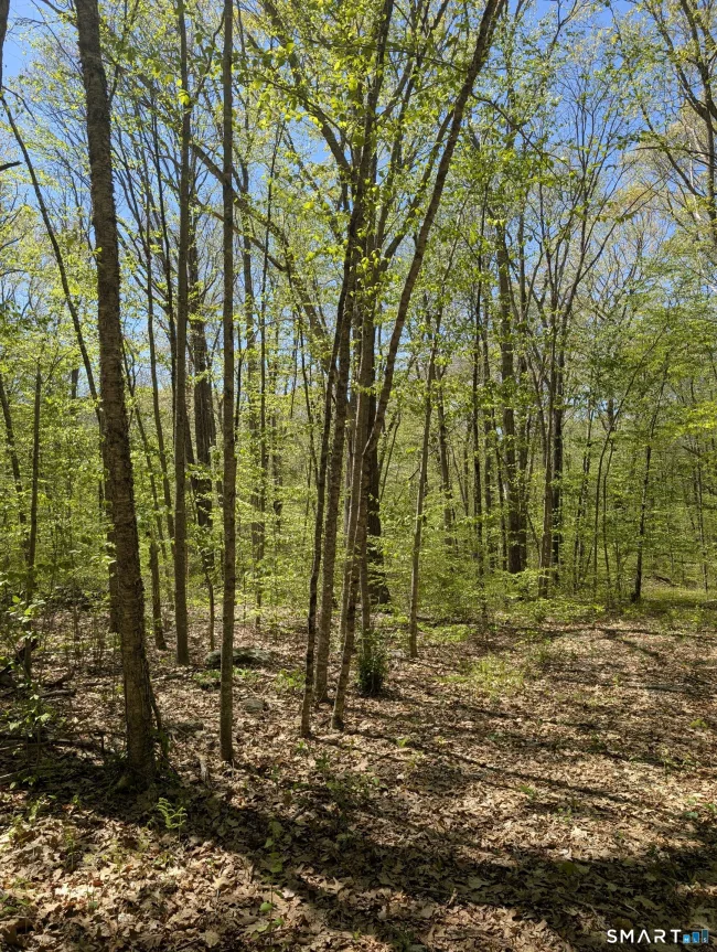 Englewood Trail, Coventry, CT