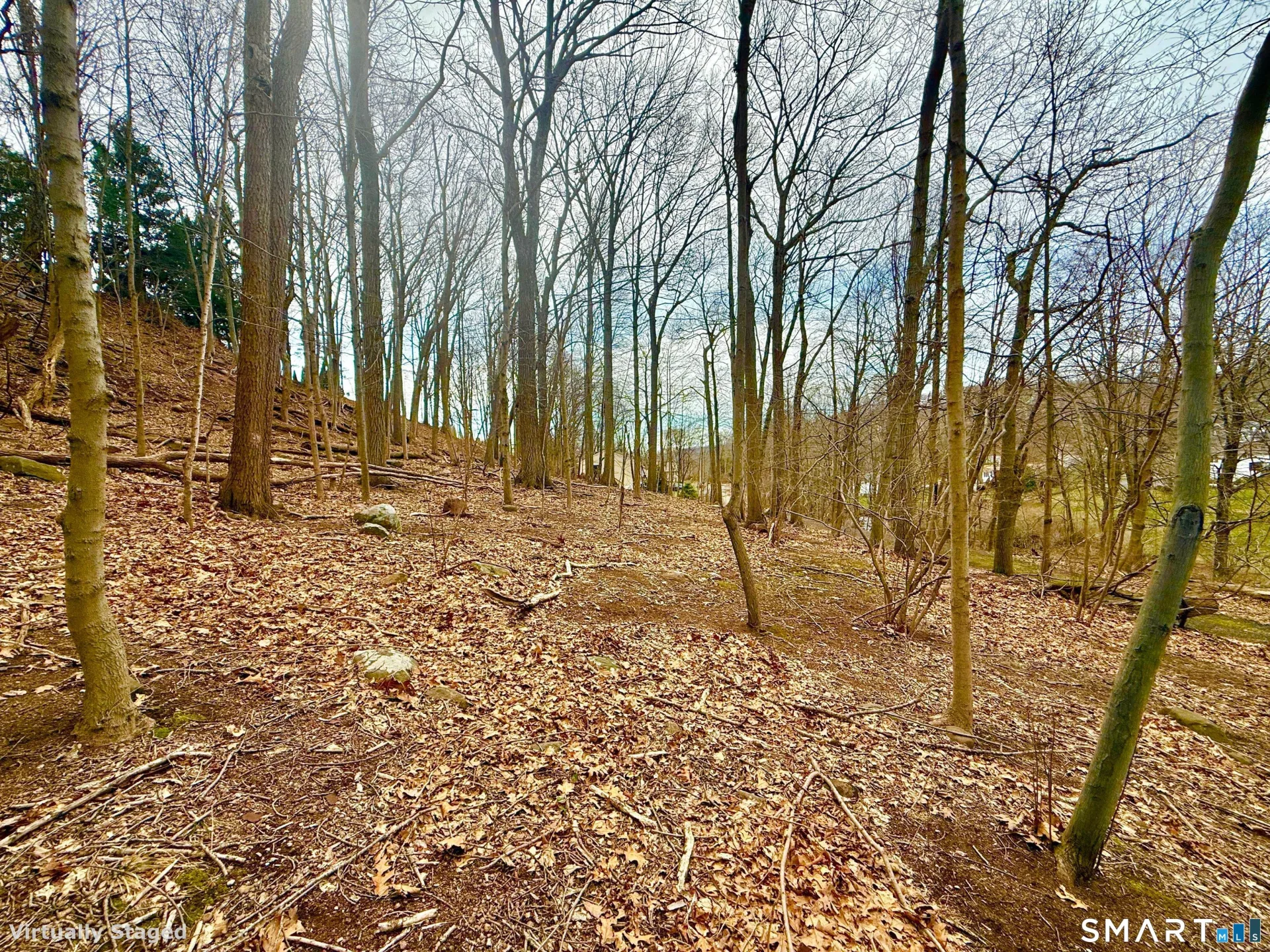 71 Dunbar Hill Road, Hamden, CT