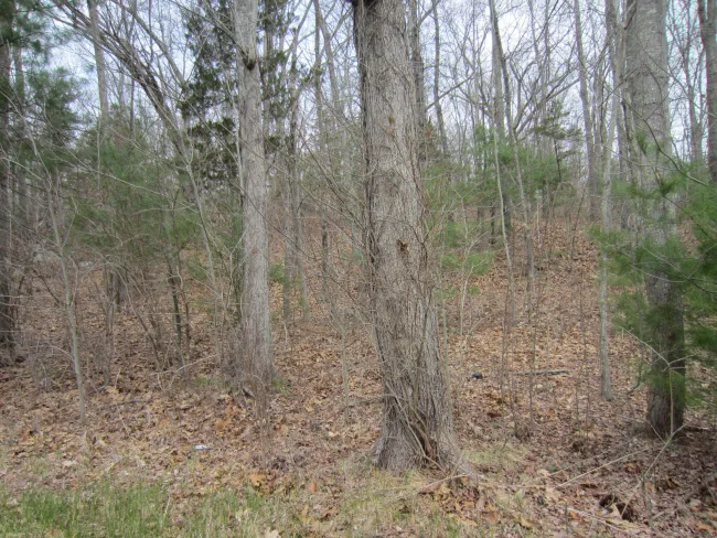 70 cutler Road, Killingly, CT