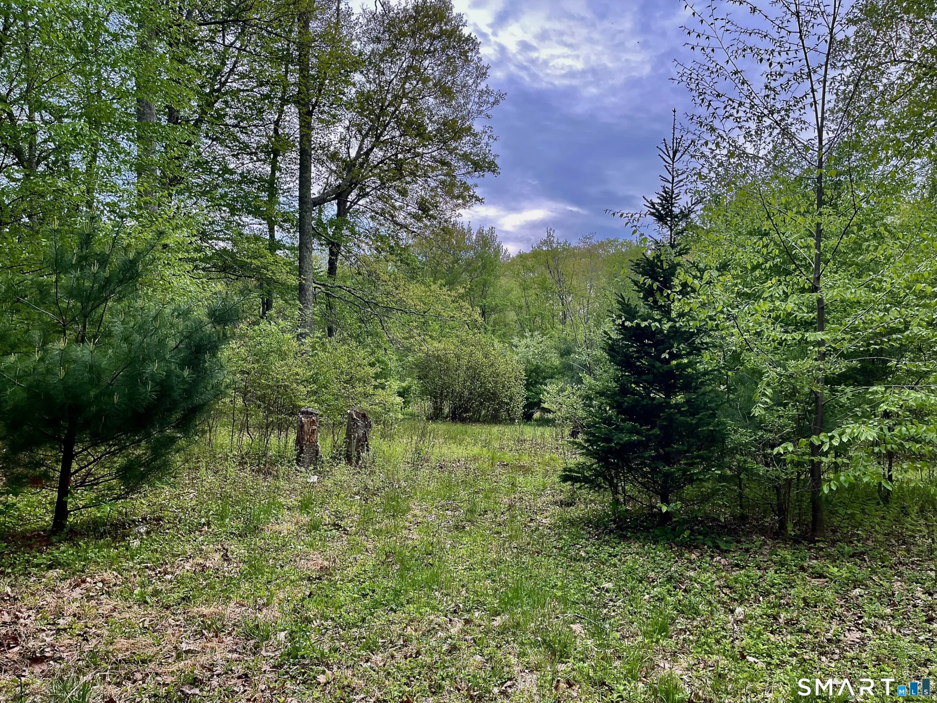 Meadow Brook Road, Hebron, CT