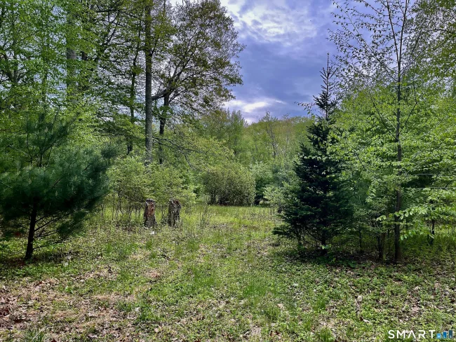 Meadow Brook Road