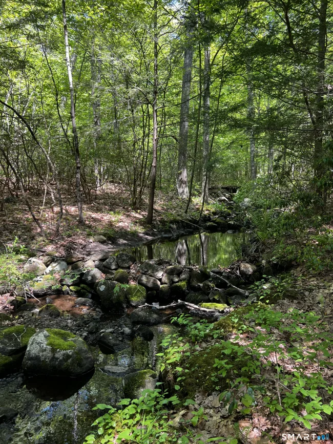 131 Stub Hollow Road