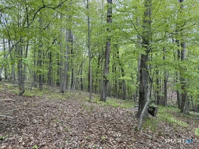 LOT10-B1 Foot Hills Road, Haddam, CT