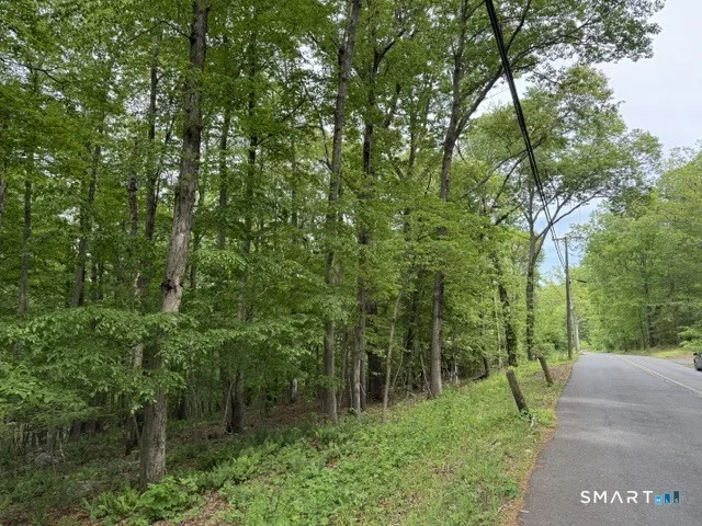 LOT10-B1 Foot Hills Road
