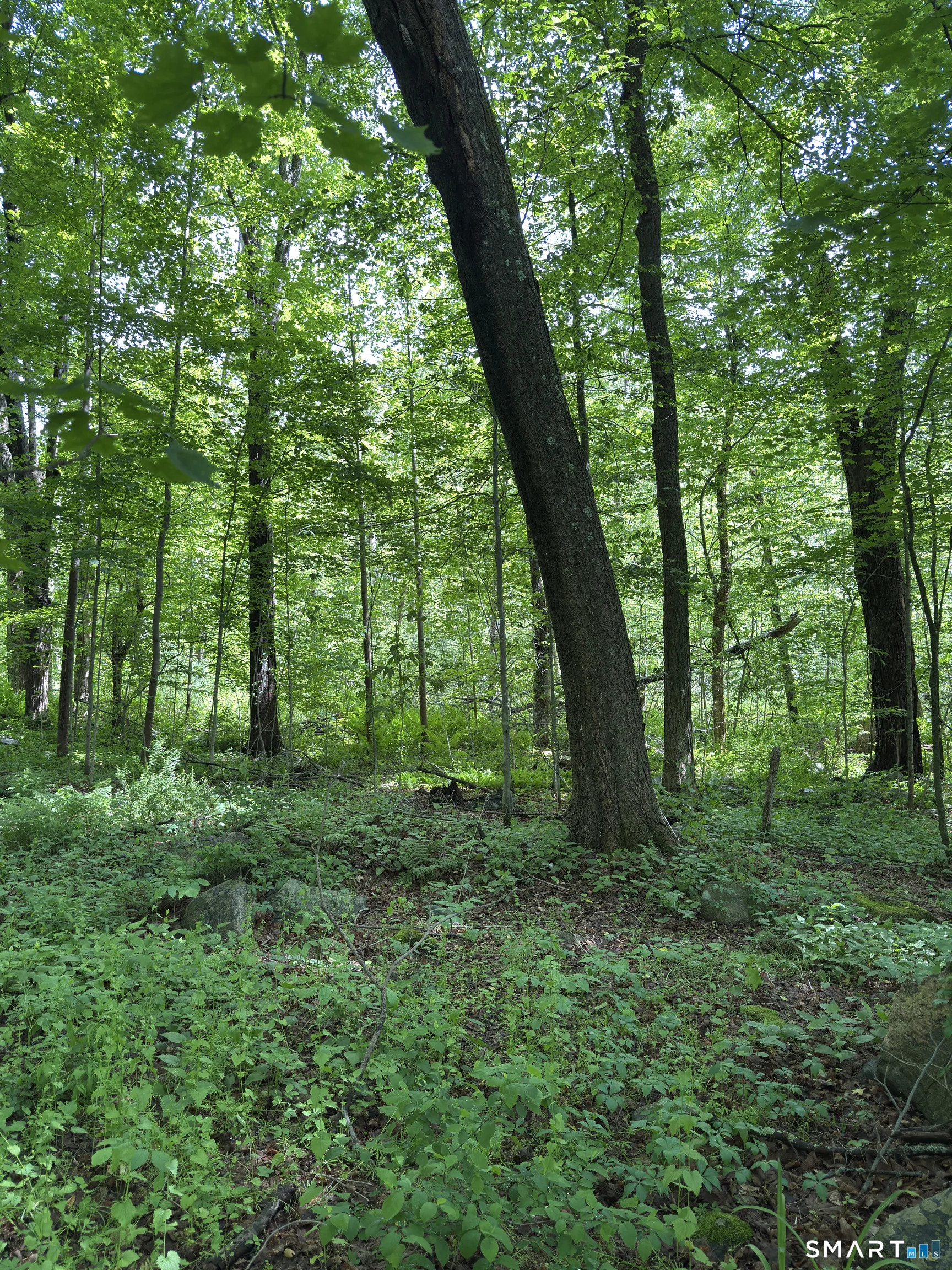 319 White Oak Trail, Winchester, CT