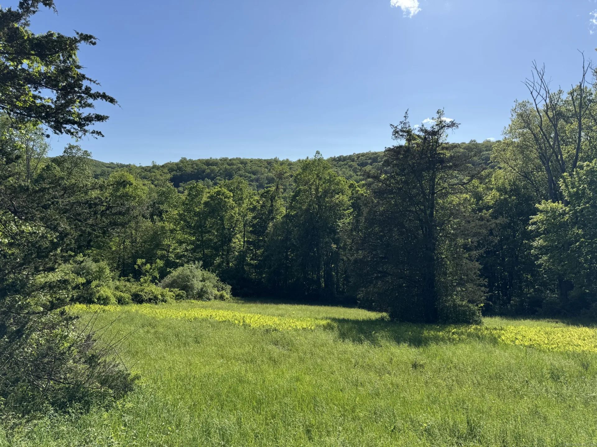 Rte 39 South, State Route, Sherman, CT
