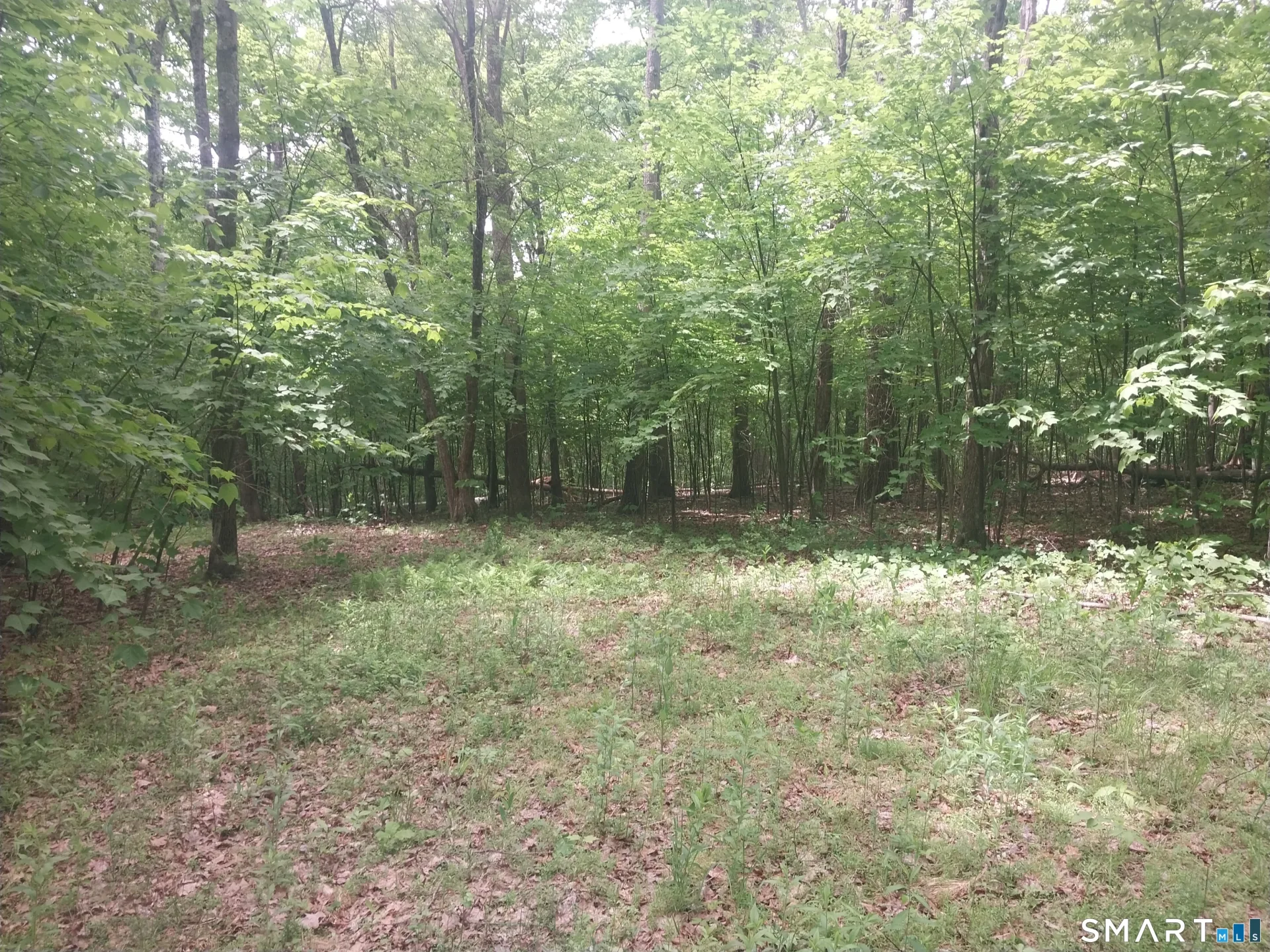 Mount Mauwee Road, Kent, CT
