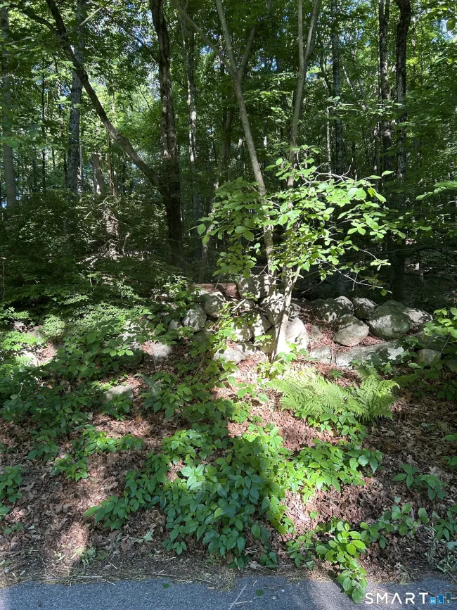 Cobbs Mill Road, Wilton, CT