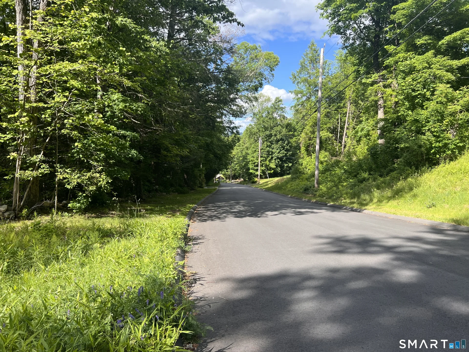 Cotton Hill Road, New Hartford, CT