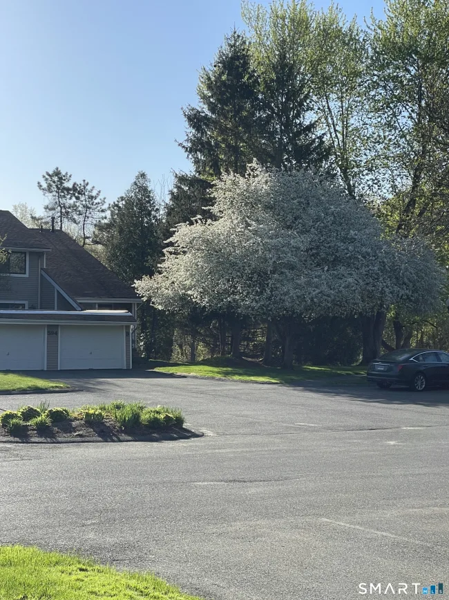 594 Mountain Road #D