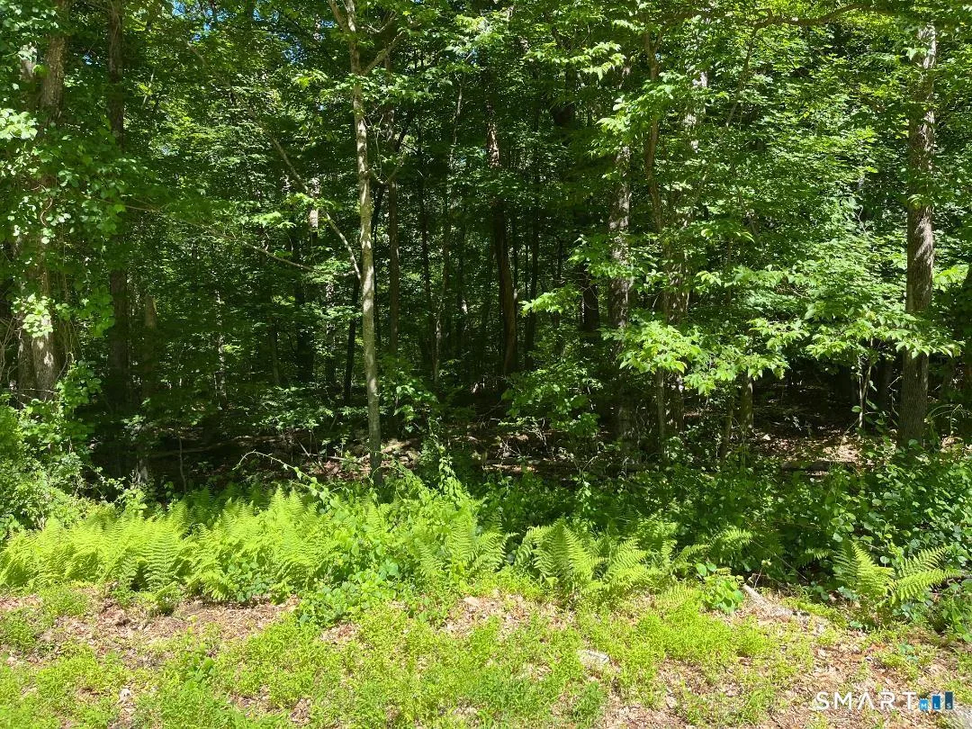 Middle Turnpike #LOT 24, Mansfield, CT