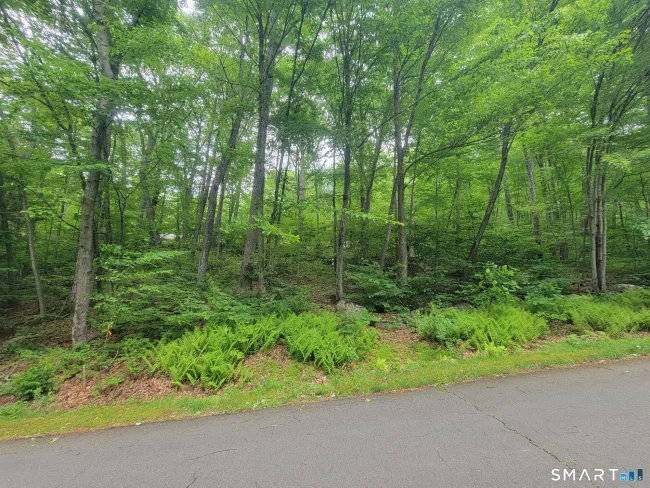 17 (Lot 2) Secret Mountain Trail, Canton, CT