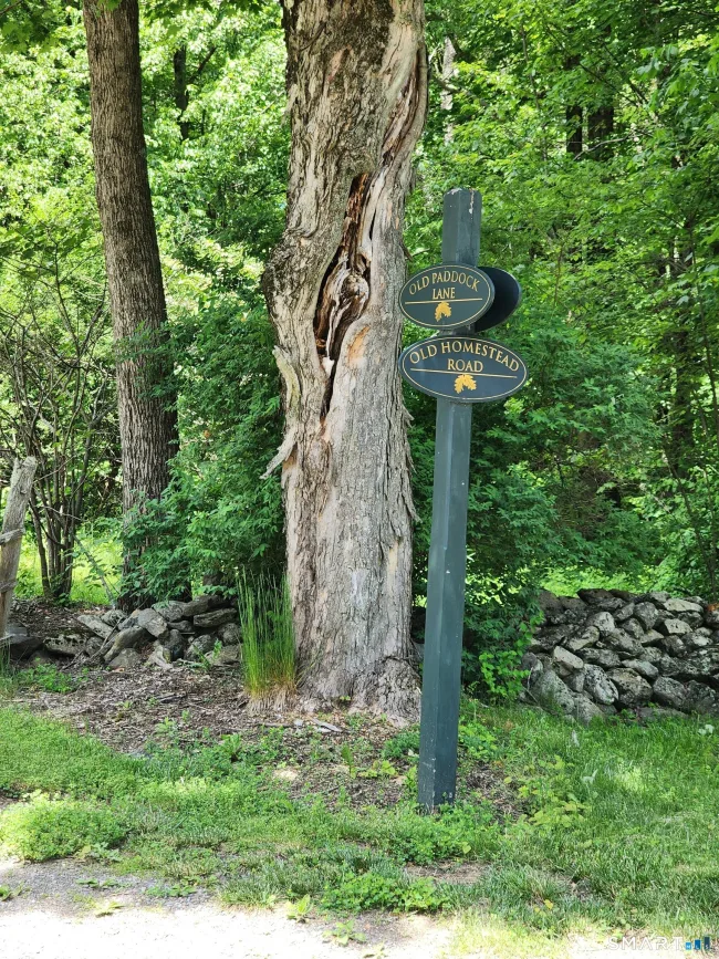 11 Old Paddock Lane