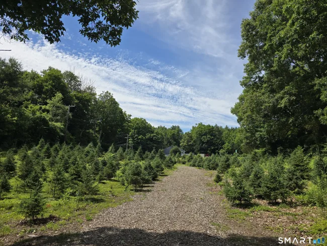 Route 6, Andover, CT