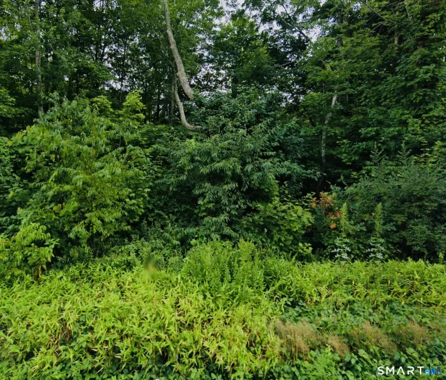 Lot 6 & 6A MASHAMOQUET Road, Pomfret, CT