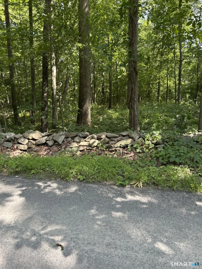Pond Meadow Road #00, Killingworth, CT