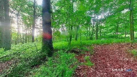 37, 39, 41 Verville Road, Avon, CT