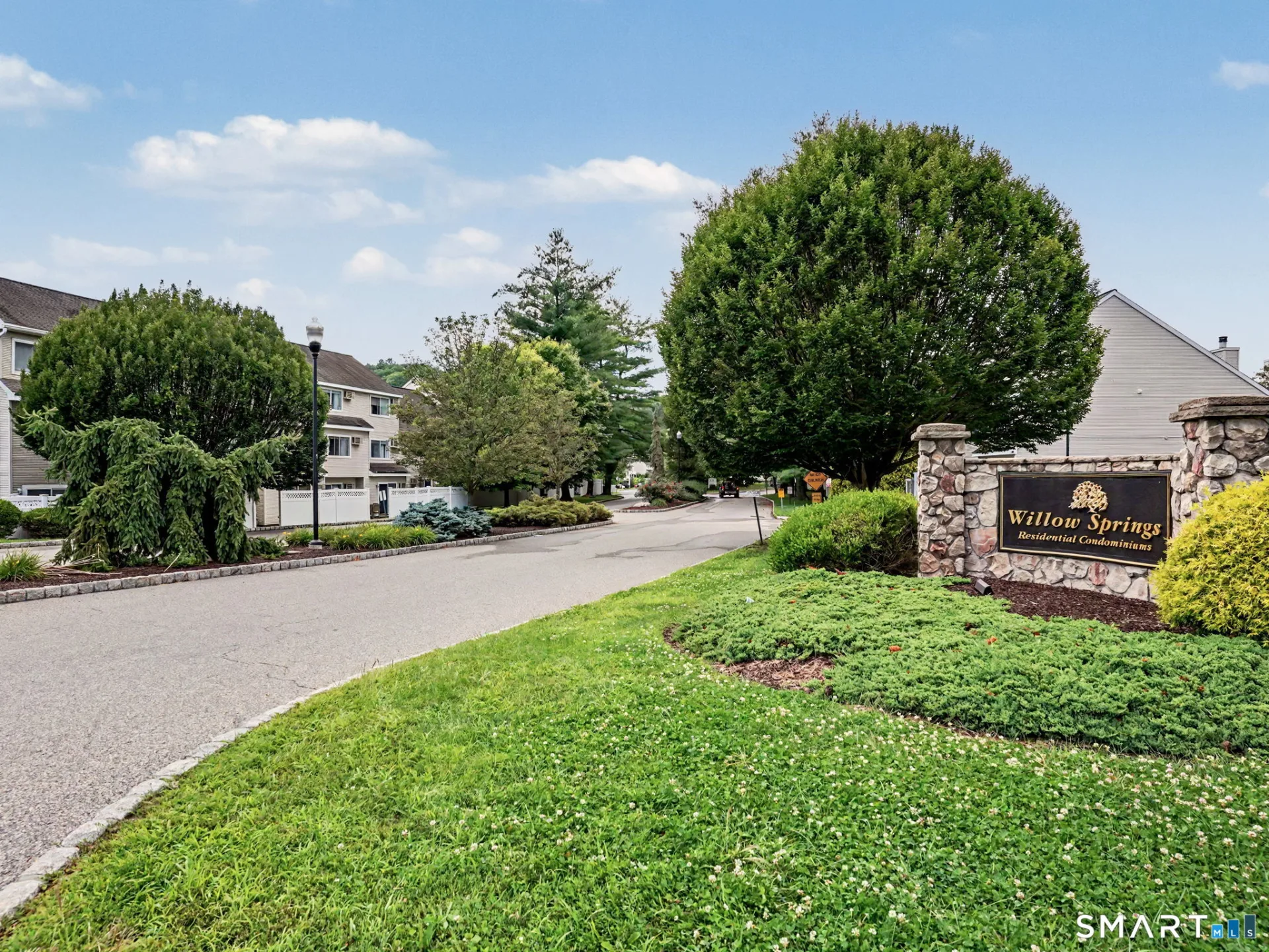 166 Willow Springs #166, New Milford, CT