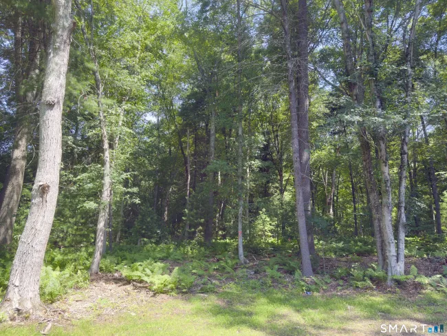 Collelo Avenue, Plainfield, CT