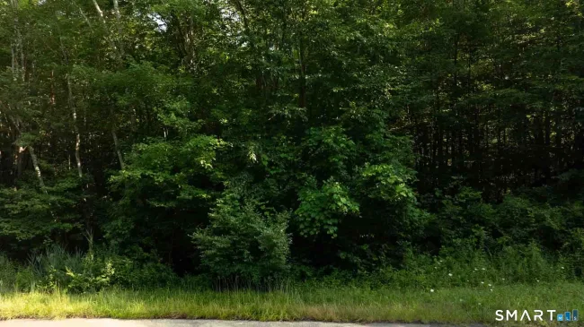 9A-2 Flatbrook Road, East Hampton, CT